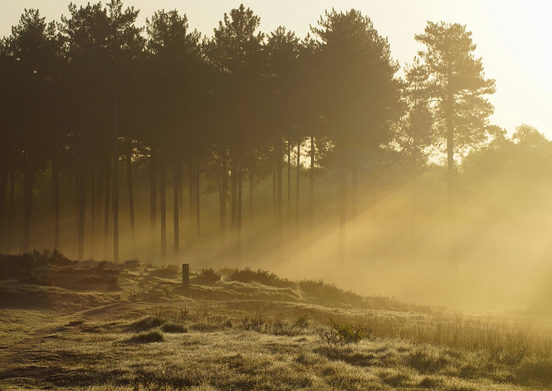 Naturnahes Umfeld einer Immobilie – Grünflächen und Landschaft vermitteln Wohngefühl